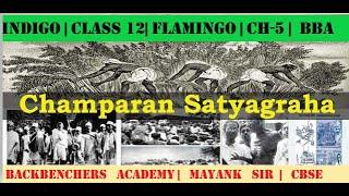 Flamingo Class 12 Explanation in Hindi: Unlocking the Secrets | Backbenchers Academy