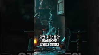 친환경 벽지가 중요한 이유 #인문학뽀개기 #나폴레옹 #역사