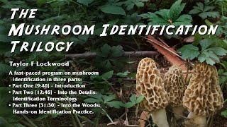 The Mushroom Identification Trilogy — Taylor Lockwood