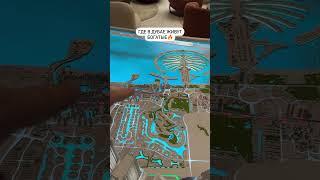 Богатые Дубая whatsapp +971507367453