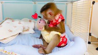 Monkey PuPu and monkey Poki are siblings, taking care of and helping each other.