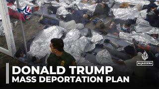 Trump's mass deportation plan: President-elect vows to crack down on immigration