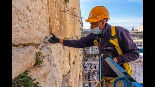 Amid the Covid-19 pandemic, the health of the Western Wall stones is also being cared for