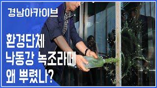 "3년을 믿고 기다렸다" 경남 환경단체, 낙동강유역환경청에 낙동강 녹조물 뿌린 이유는?