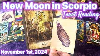 YOU DID THAT! YOUR HEAVEN ON EARTH! NEW MOON IN SCORPIO TAROT READING