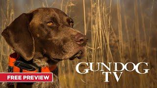 Gun Dog TV | Free Preview | MyOutdoorTV