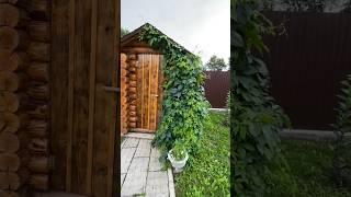 ВсеСЕКРЕТЫ ДЕРЕВНИраскрыты!  #shorts  #village #life #секреты