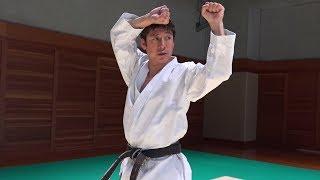 【Karate】How to use Heian Nidan in a Fight. (Tatsuya Naka JKA)