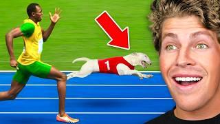 World's Fastest Man VS Fastest Dog!