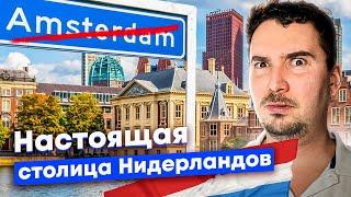 Гаага: почему голландцы бегут из городов? Жизнь и проблемы столицы Нидерландов