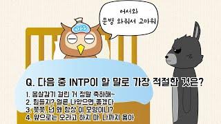 겉으로는 비슷하지만 속은 완전 다른 조합 (INTP x INFJ)