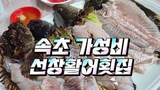 속초 동명항 현지인 맛집 가성비 회집 선창    활어횟집 설악닭강정 후기