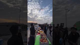 Arbaeen Walk 2024 | Safar E Ishq E Hussain | Najaf To Karbala Walk #shorts #arbaeen#viralshorts#shia