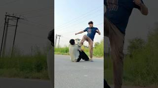 Gaurav ko magical car ne bacha liya #funny #funnyvideo #youtubeshorts #shortsfeed #fun
