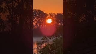 ️️️️️️️️️ #sunrise #sunrisewalk #sublime #naturetv #powerful #thesun #sunshine #sungazing
