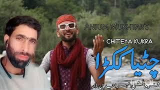 Chita kukra|new superhit song|#anjummukhtarwangathi