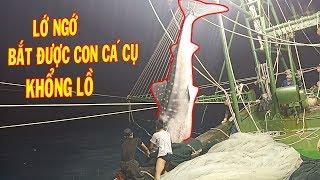 Lớ Ngớ Bắt Được Con Cá Mập Cụ Khổng Lồ nặng 3000kg & Nhiều Cá Ngừ/ Catch The Giant Shark | #24