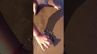 sand art#short