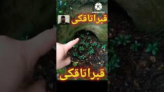 پیداکردن قبراتاقکی درگنج یابی#زیرخاکیgold#نماد#shorts