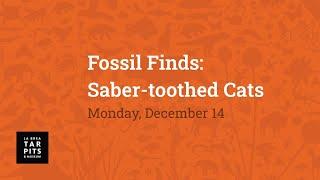 Fossil Finds: Saber-Toothed Cats!