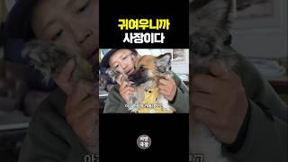 유기견 구조해서 서핑숍 데려왔더니?!