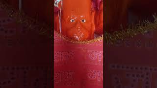 Tulsidas krit Vishal King Rewa