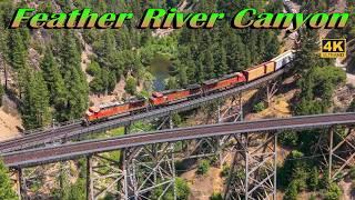 Breathtaking Feather River Canyon Train Chase (4K) | July 10, 2024