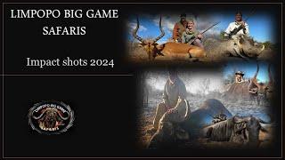 EXTREME Impact Shots in South Africa with Limpopo Big Game Safaris! 2024