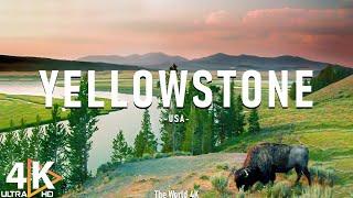 Yellowstone National Park 4K Ultra HD • Stunning Footage, Scenic Relaxation Film with Calming Music.