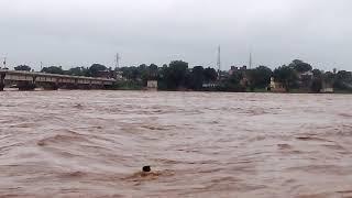 Daltonganj Koyal River Above Danger level