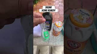 Easy Skunk Home Remedy!