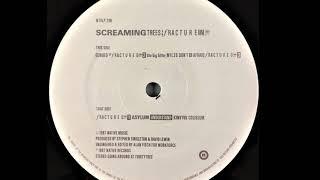 Screaming Trees - Don't B Afraid (B5)