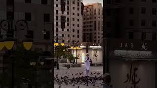 subhanAllah#short#shortvideo #shortfeed # cookscorner