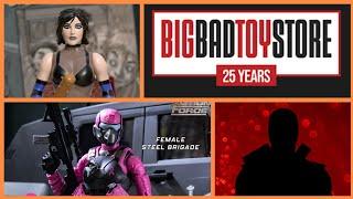  BRICKTOBER  BBTS 25th ANNIVERSARY Day 4 | VALAVERSE Pink Steel Brigade