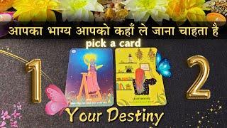  Aapka bhagya apko kha le jana chahta hai  Your Destiny - pick a card | Timeless Tarot Reading 