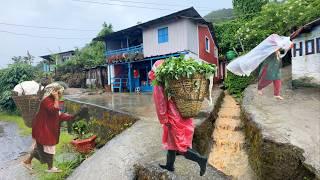 The Gentle Rhythm of the Village Rain | Rainy Day | Mountain Village Life in Nepal | BijayaLimbu