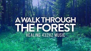 A Walk Through the Forest | Healing 432Hz Ambient Music to Connect with Nature | Forest Sounds