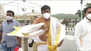 Actor Rajendra Prasad Visuals @ Tirumala | MS entertainments