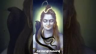 19 June 25 | Jai Guruji  Shukrana Guruji Maharaj  #Gurujiblessin #jaiguruji #guruji #shabad #shiv