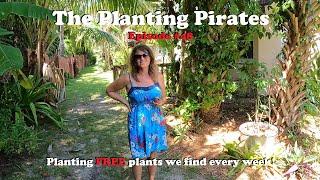 Planting FREE Plants we find Weekly! | The Planting Pirates Episode #48