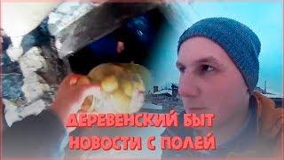 Деревенский быт // Новости с полей // ЛПХ-Кирсановы