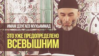 «Это уже предопределено Всевышним Аллахом» — Имам Дзугаев Мухьаммад l Ингушетия