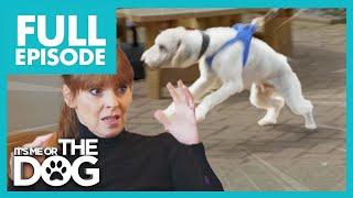 Bertie: The Attention Seeker | Full Episode | It’s Me or The Dog