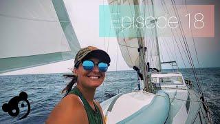 Spinnaker Sailing and Catching Tuna Offshore Ocean Passage [Panda Journey #18]