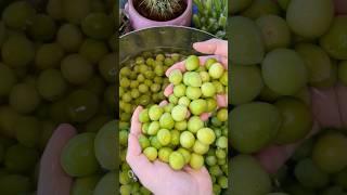 washing unripe plums for maesil-cheong #asmr #satisfying