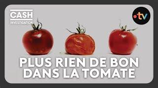 Les industriels ont-ils tué la tomate ? - Cash investigation