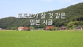 토토로가 살 것 같은 일본 시골