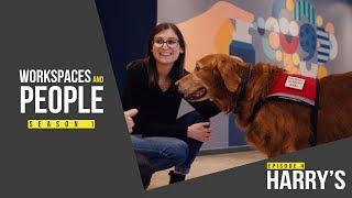 Complete workspace tour with Harry’s New York City | Workspaces and People New York | Ep. 4