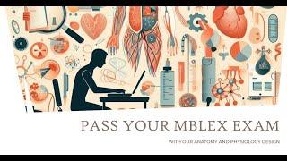 MBLEx Practice Exam anatomy and physiology part 1