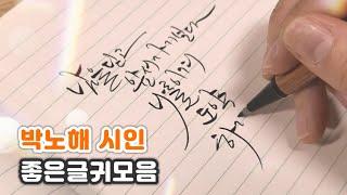 박노해 시인 좋은글귀모음_붓펜 캘리그라피 영상